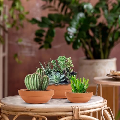 Laerjin Terra Cotta Pots - Image 4