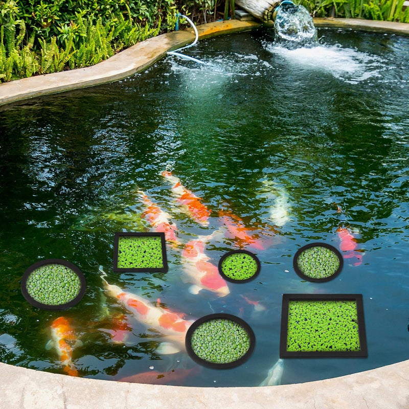 Yiyiring 20 Pcs Aquarium Floating Plant Rings Round Square Fish Feeding Rings Different Size Corral Foam Circle for Tank Keep Floating Plants in Place and Out of Filter, 5 Sizes(Black) - Image 5