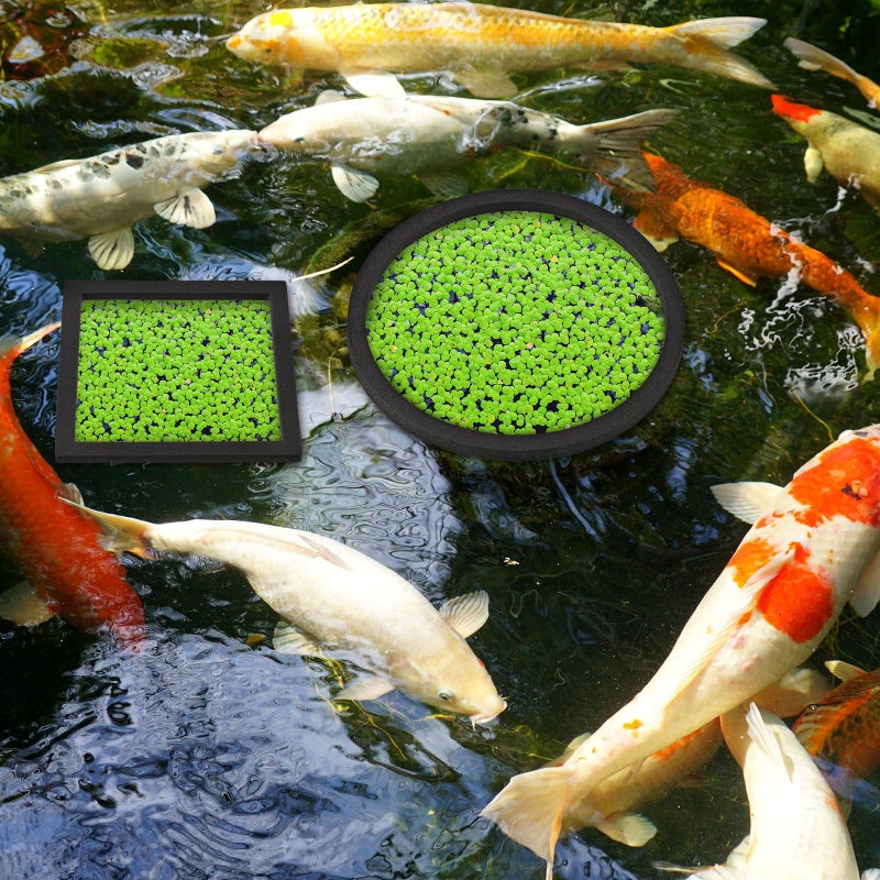 Yiyiring 20 Pcs Aquarium Floating Plant Rings Round Square Fish Feeding Rings Different Size Corral Foam Circle for Tank Keep Floating Plants in Place and Out of Filter, 5 Sizes(Black) - Image 4