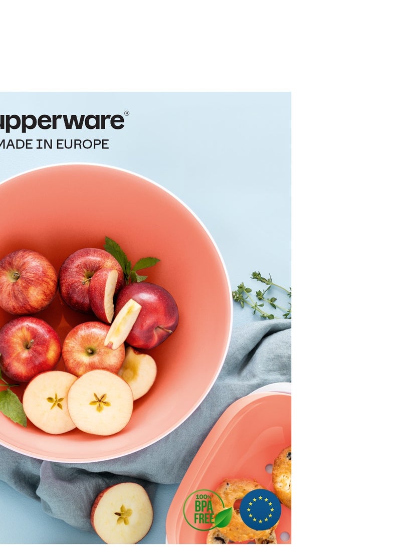 توبروير سلطانية  تقديم 3.5 لتر - Image 3