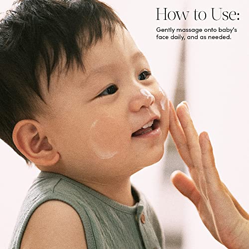 Evereden Ultra Light Baby Face Cream, 1.7 oz | Clean Baby Care | Non-toxic and Fragrance Free Moisturizer | Clean Ingredients - Image 3