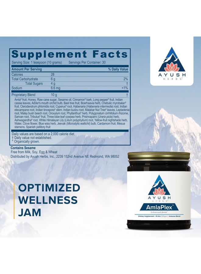 أيوش هيربس مربى الأعشاب الأيورفيدية، أملا بليكس، تعزيز تشانفانبراش، دعم طبيعي للمناعة والجهاز الهضمي مع فيتامين سي، مكمل مضاد للأكسدة - Image 5
