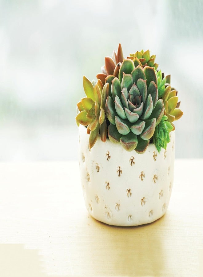 Activa Activ-Clay, Self Hardenig Natural Air Dry Clay, Black 2.2lb (1kg) - Great All Purpose Clay for Art, Craft and Sculpting - Image 5