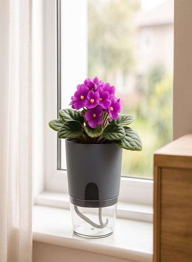 Planterhoma Self Watering Pots for Indoor Plants, Flower Pots Outdoor, 3 Pack 6 Inch Self Watering Planter, Plant Pots with Decorative Stones, Flower Pot, Plant Pots Indoor, Flower Pots Indoor, Grey - Image 4