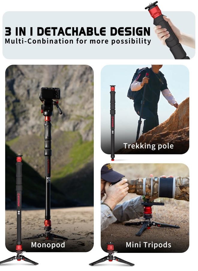 Ifootage Cobra 3 A150S Monopod Strike with fluid head, 159.9 cm camera monopod with pedal lock, fast height adjustment (A150S and Komodo K5S) - Image 5