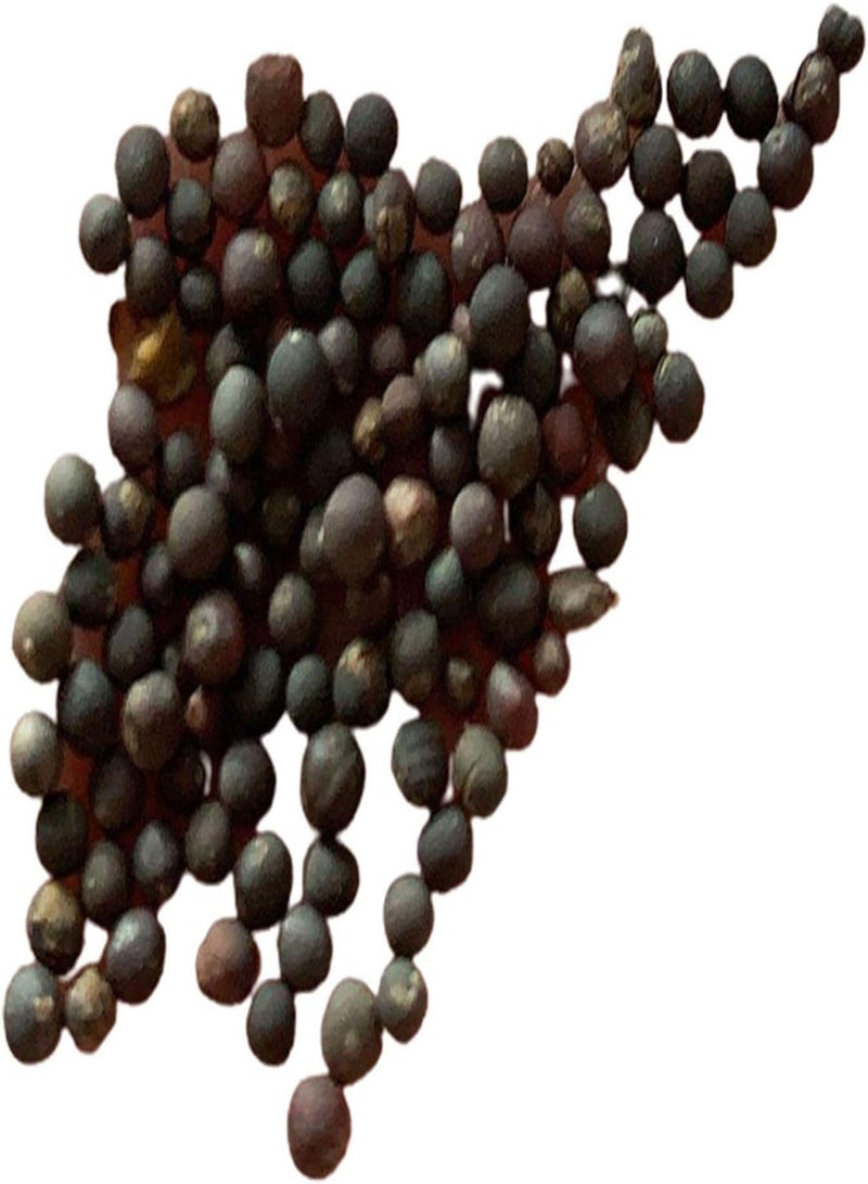 GGOOT Green Seeds, Safe and Harmless & Non-GMO,500Pcs/Bag Yellow Vegetable Seeds Moisture Demand Quick Growing Crops Yard Non GMO Vegetable Seeds for Garden - Seed - Image 5