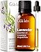 Gya Labs Lavender Essential Oil 102 Fl Oz 100 Pure Lavender Oil for Hair Skin Teeth and Gums Diffuser Aromatherapy DIY Candle Making Scent - Image 1