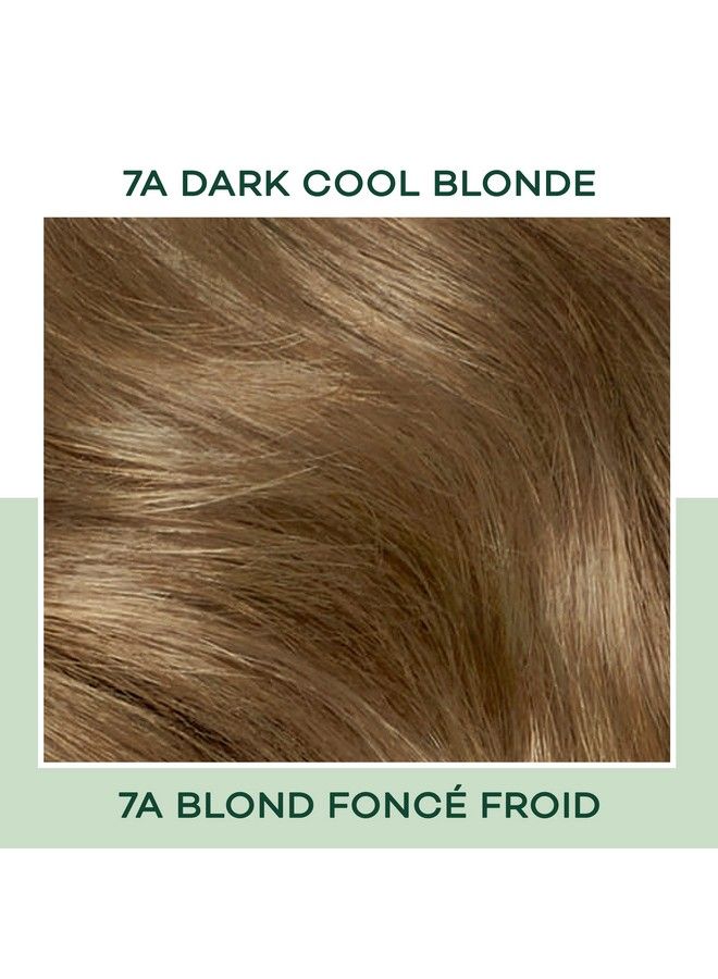 CLAIROL صبغة شعر طبيعية دائمة 7A بلون أشقر غامق رائع عبوة من قطعة واحدة - Image 4