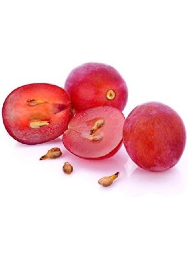 US Organic Grape Seed Oil, USDA Certified Organic, 100% Pure & Natural, Cold Pressed Virgin, Unrefined - Image 5