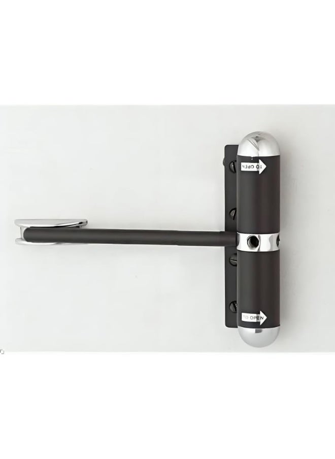 Biella Capsule Door Closer Iron Body, Standard Size, Easy Install To Convert Hinged Doors To Self-Closing  - Image 1