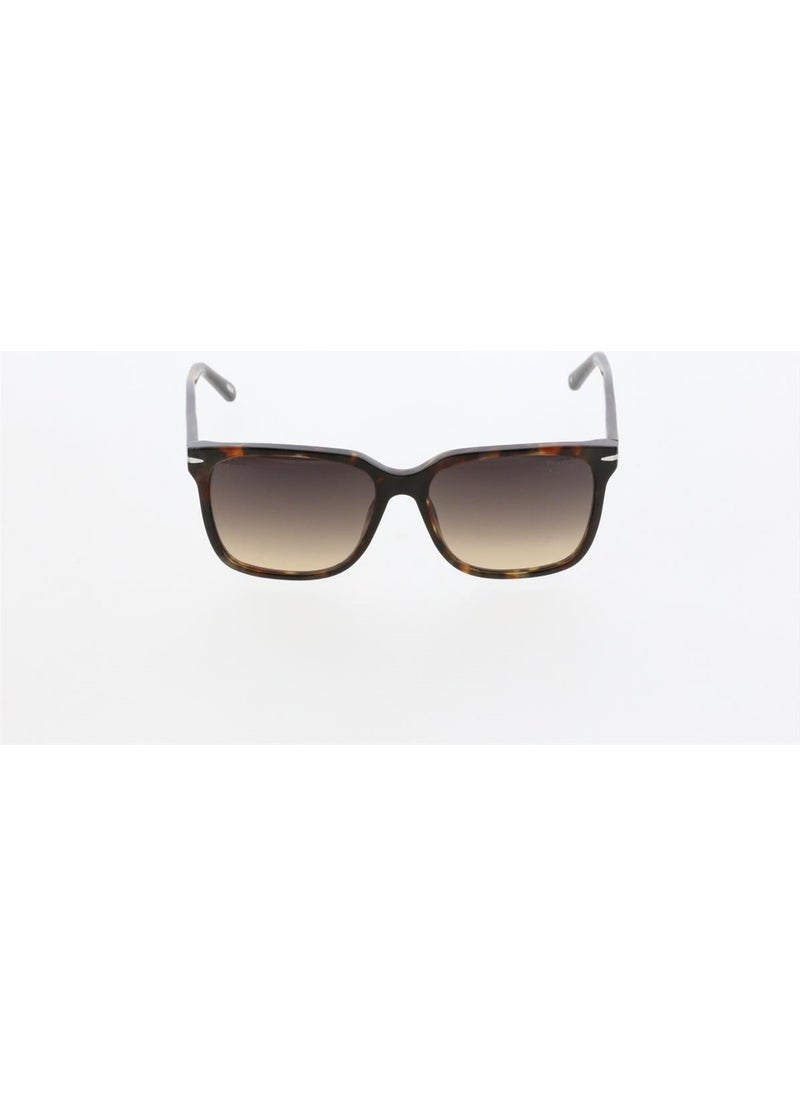 MUSTANG MU2275 C2 56 Men's Sunglasses  - Image 1