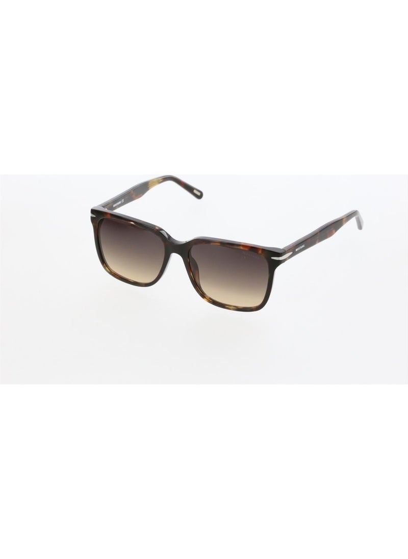 MUSTANG MU2275 C2 56 Men's Sunglasses  - Image 2