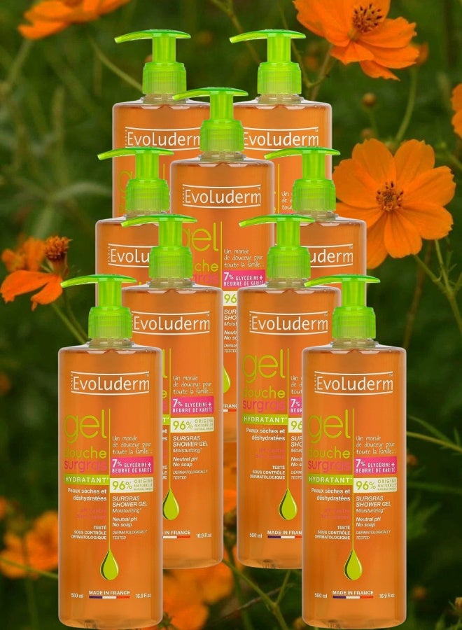 إيفو لوديرم 9 قطع جل الاستحمام المرطب بالسكر من إيفولوديرم 500مل - Image 1