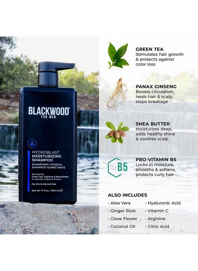 Blackwood For Men Blackwood For Men Hydroblast Moisturizing Shampoo - Men's Shampoo for Coarse, Dry, & Curly Hair - Infused with Ginseng & Ginger- Natural Vegan Formula -Sulfate Free, Paraben Free & Cruelty Free(17 Oz)  - Image 4