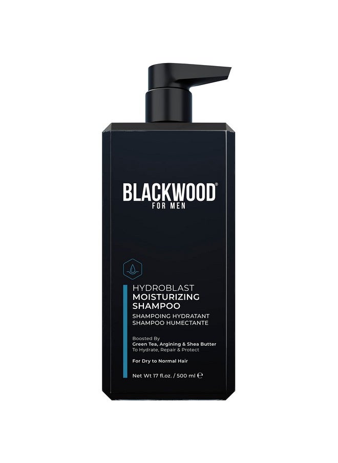 Blackwood For Men Blackwood For Men Hydroblast Moisturizing Shampoo - Men's Shampoo for Coarse, Dry, & Curly Hair - Infused with Ginseng & Ginger- Natural Vegan Formula -Sulfate Free, Paraben Free & Cruelty Free(17 Oz)  - Image 1