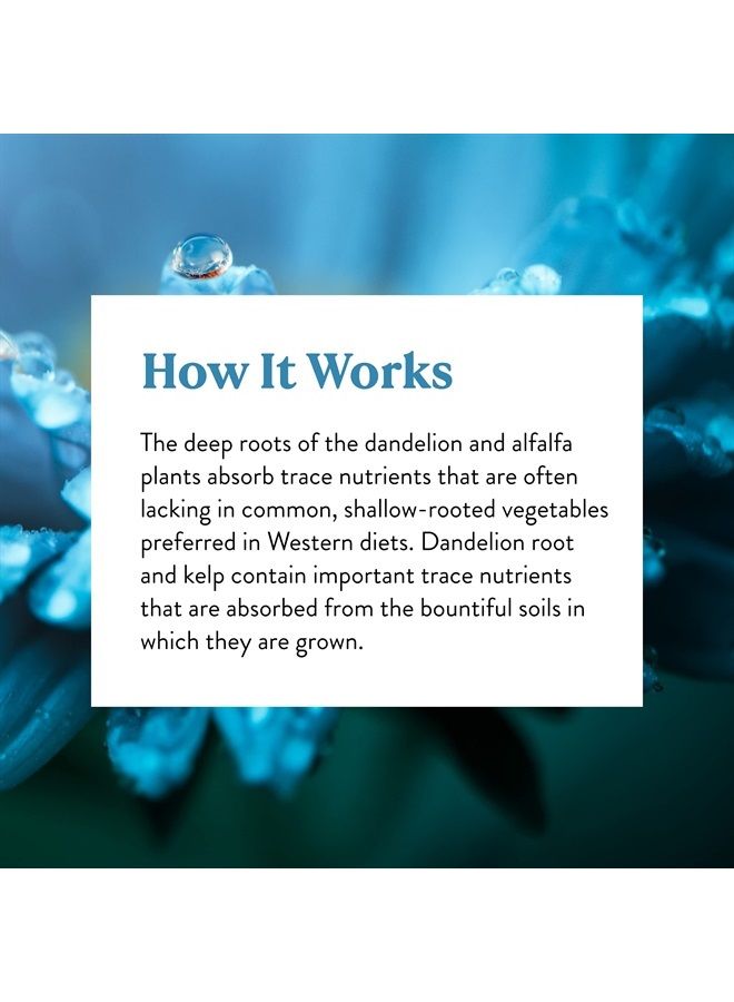 Nature's Sunshine Herbal Trace Minerals, 100 Capsules | Provide Nutrients that Support the Glandular, Digestive, and Waste Management Functions - Image 5