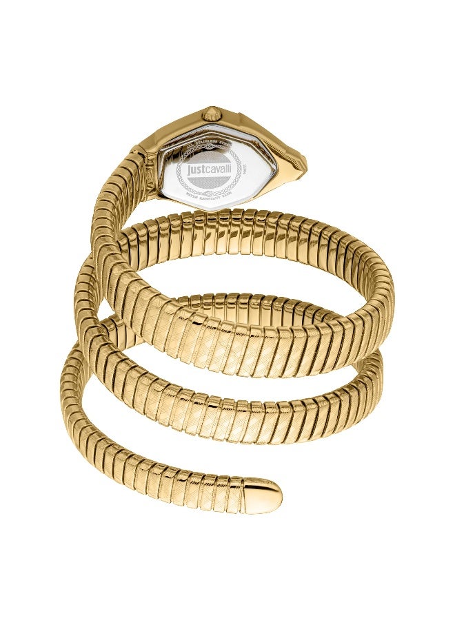 Just Cavalli ساعة جاست كافالي ليدي سنيك المذهلة JC1L304M0035 - ستانلس ستيل أنثوية كوارتز 2 يد - Image 3