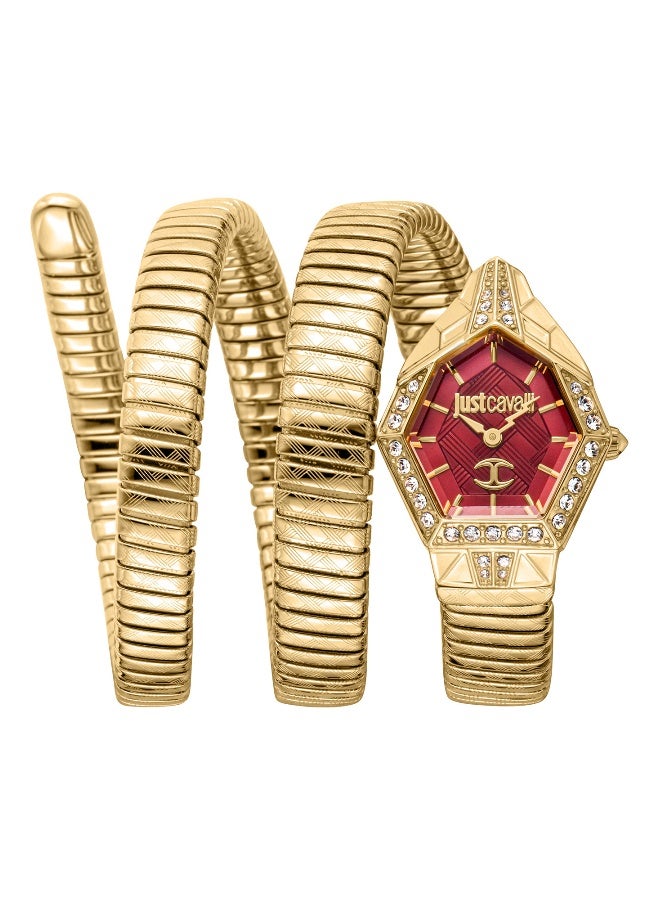 Just Cavalli ساعة جاست كافالي ليدي سنيك المذهلة JC1L304M0035 - ستانلس ستيل أنثوية كوارتز 2 يد - Image 1