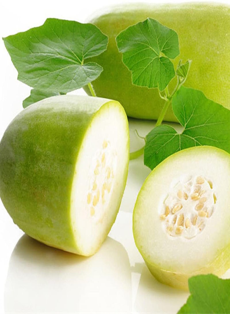 GGOOT 50Pcs Winter Melon Seeds Annual Trailing Green Vegetables Climbing Vines Decorate The Garden Terrace Create A Unique Garden Landscape - Image 2