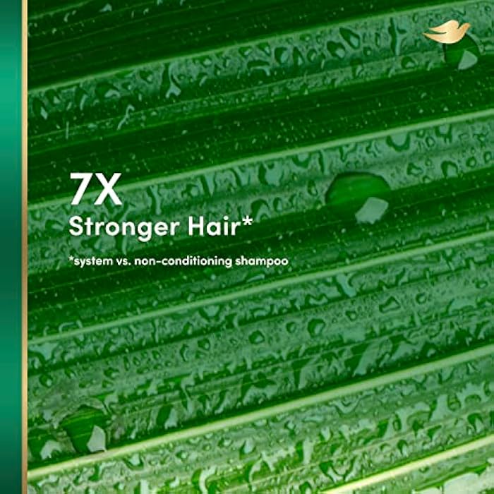 Dove RE+AL Bio-Mimetic Care Shampoo For Damaged Hair Repair Coconut + Vegan Keratin Sulfate-Free Coconut Shampoo 10oz - Image 4