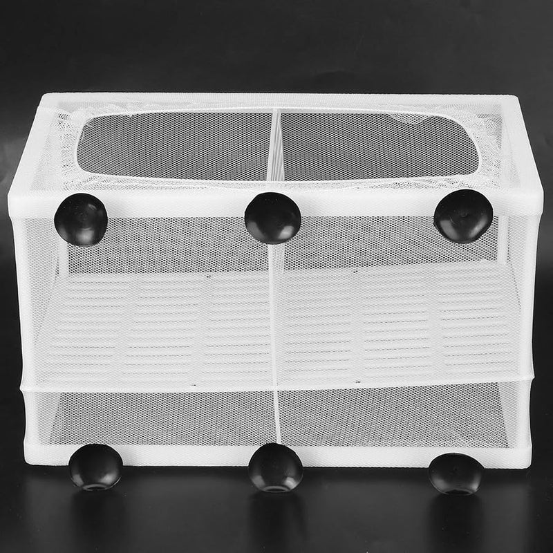 Fydun Aquarium Fish Breeder Box Isolation Hatchery with Suction Cup Large Size with Partition - Image 3