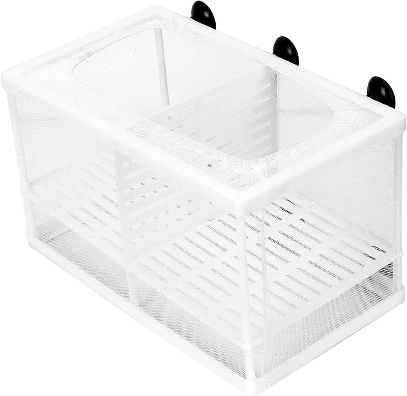Fydun Aquarium Fish Breeder Box Isolation Hatchery with Suction Cup Large Size with Partition - Image 2
