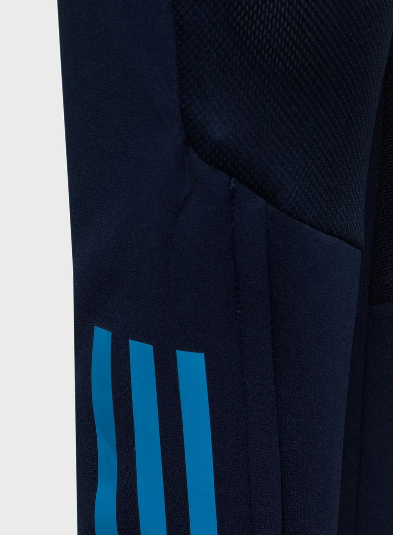 Adidas Youth Argentina Sweatpants