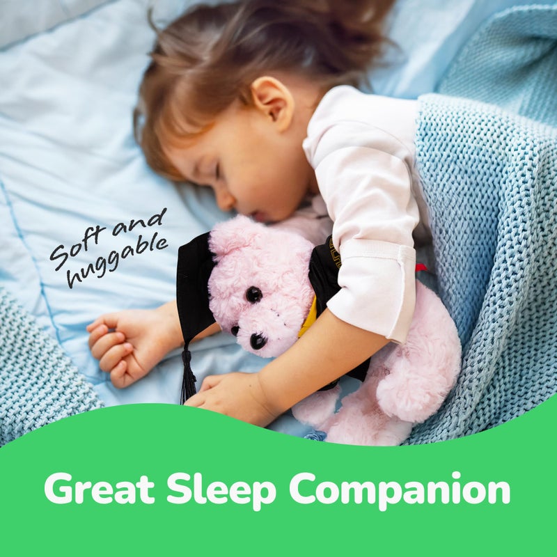 ArtCreativity Graduation Pink Teddy Bear - 10 Inches - Cute Plush Bear with Hat  Gown  Sash  and Diploma - Birthday  Kindergarten & Preschool Graduation Gift for Girls - Adorable Stuffed Animal - Image 5