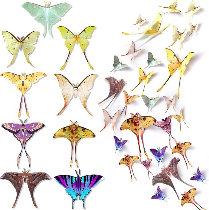 63 PCS BUTTERFLY WALL STICKERS BUTTERFLIES WALL DECALS REMOVABLE DOUBLE SIDED 3D BUTTERFLY MOTH DECAL 6 INCH REUSABLE MURAL STICKERS FOR PARTY WEDDING ROOM DECOR STICKER SETDELICATE