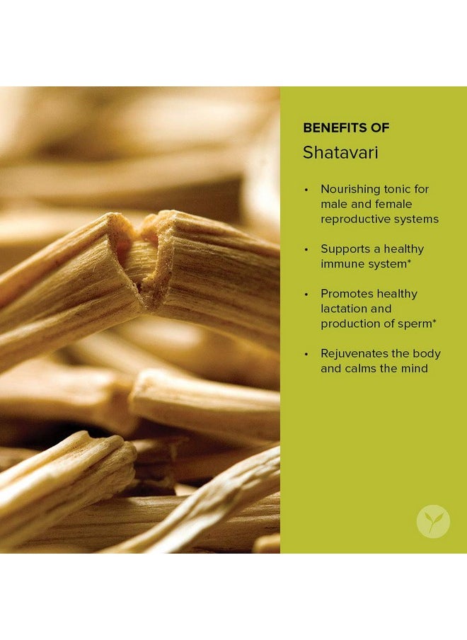 Banyan Botanicals Banyan Botanicals Organic Shatavari Powder - Asparagus racemosus - Ayurvedic Herb for Vata & Pitta, Balanced Female Hormones, Energy, Vitality & More* - 1lb. - Non-GMO Sustainably Sourced Vegan FFL  - Image 5