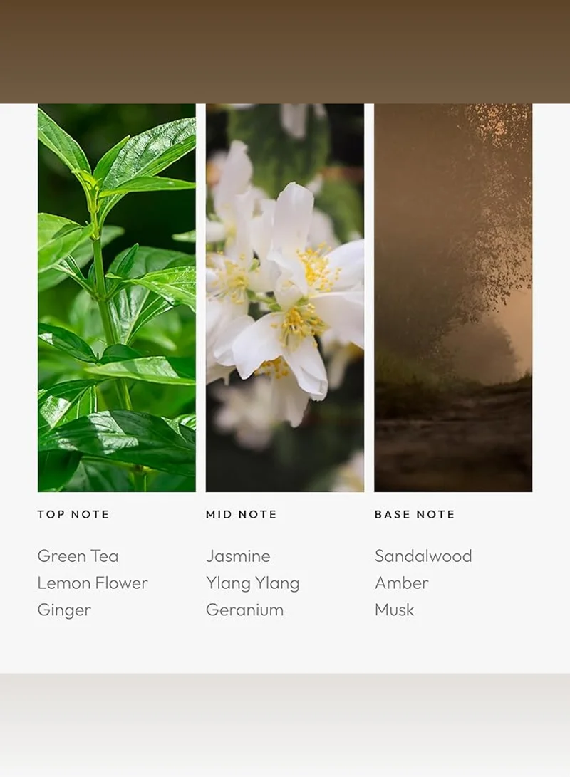 AROMA360 All Of Me Fragrance Oil Blend - Hotel Inspired for Luxury Essential Oil Diffusers - Aromatherapy Scent Diffuser Oil - Green Tea, Lemon Flower, and Jasmine