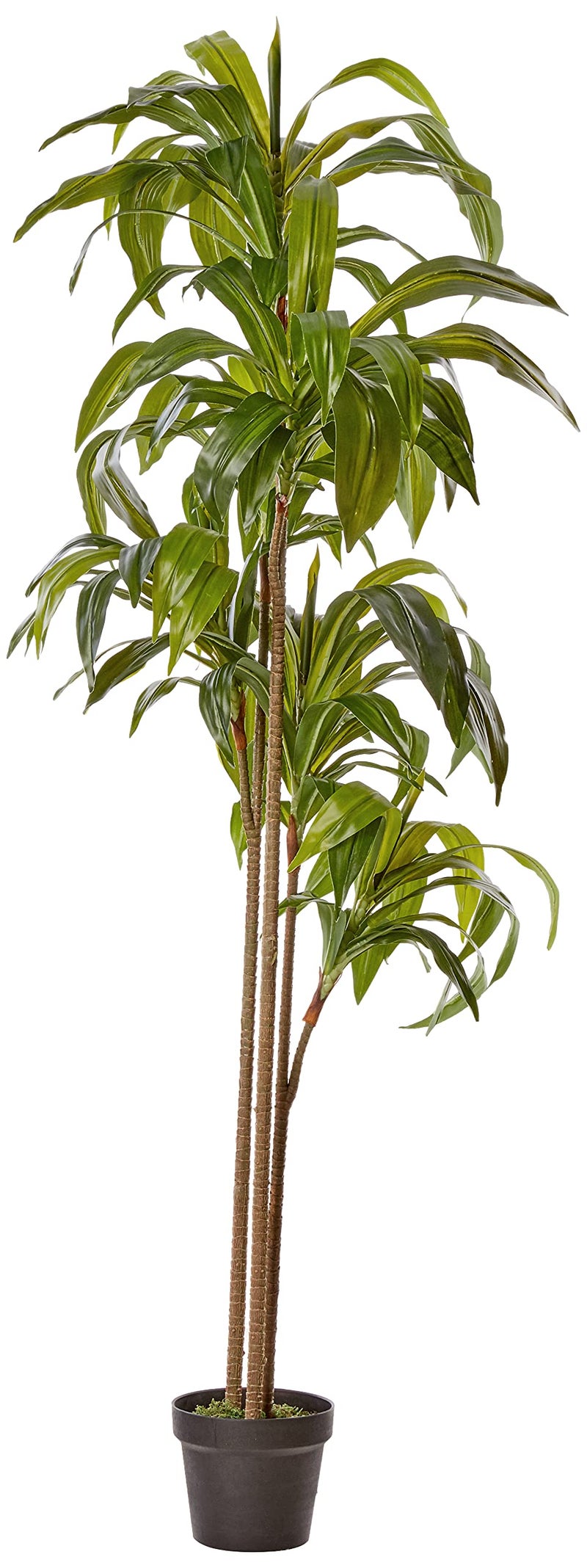 Nearly Natural Nearly Natural 6ft Dracaena Silk Plant Real Touch 