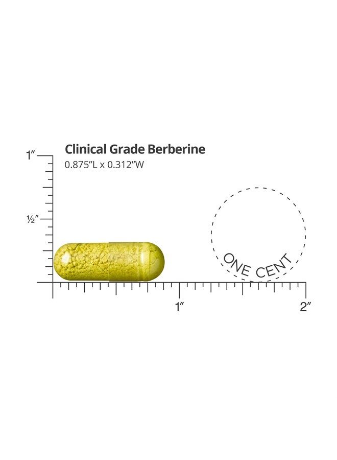 Berberine Supplement | 1,500mg Per Daily Serving | 30 Day Supply