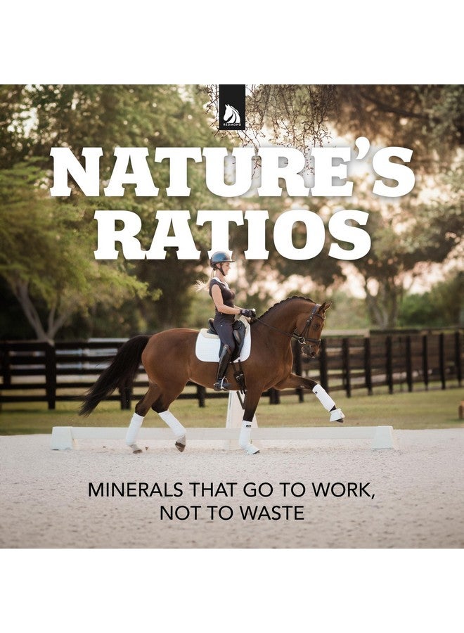 Redmond Daily Red | Horse Vitamins and Minerals Supplement - Image 5