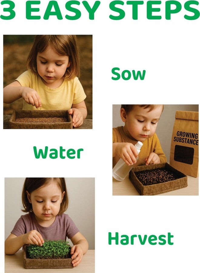 Train your Brain Introduction to Gardening DIY KIT, Mess Free Gardening for Kids - Image 3