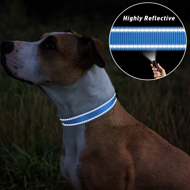 TagME Small Dog Collar, Adjustable Reflective Nylon Pet Collar with Quick Release Buckle, Sky Blue, 5/8" Width - Image 5