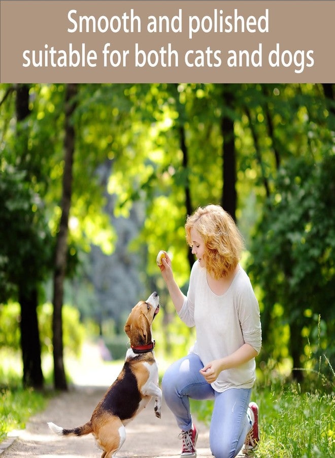 piercing 5Pcs Dog Nail File, Dog Nail Clipper, Dog Nail Grinder Board with Sand Paper Sheets, Quiet Grooming Option for Pets Sensitive to Traditional - Image 5