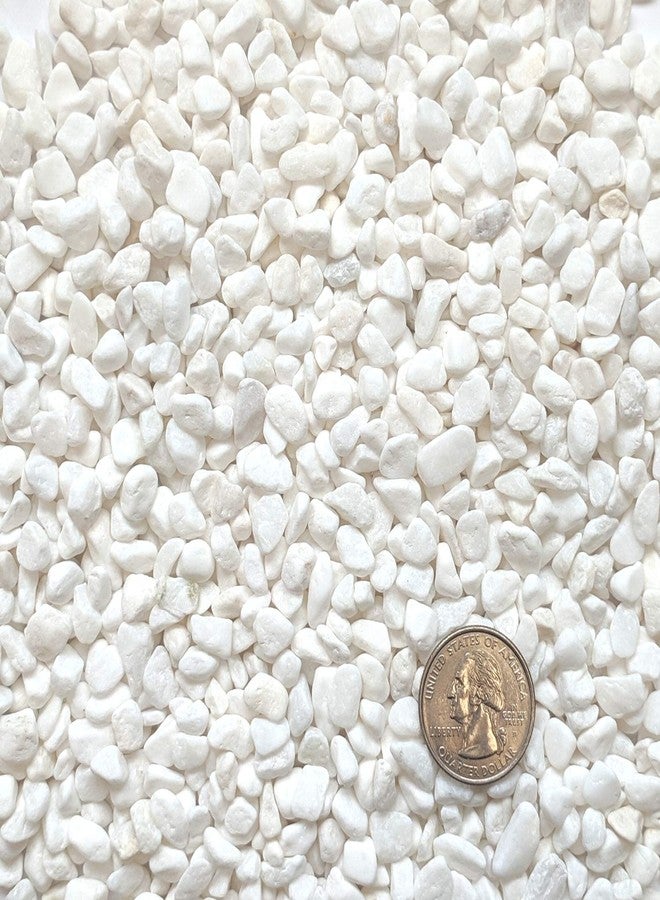 Midwest Hearth Decorative White Bean Pebbles 1/5" Size (10-lb Bag) - Image 2