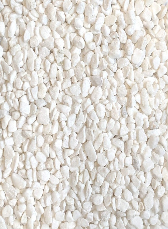 Midwest Hearth Decorative White Bean Pebbles 1/5" Size (10-lb Bag) - Image 1