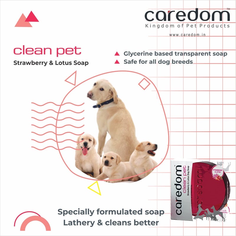 Caredom Lotus Dog Soap, 75 g - Image 2
