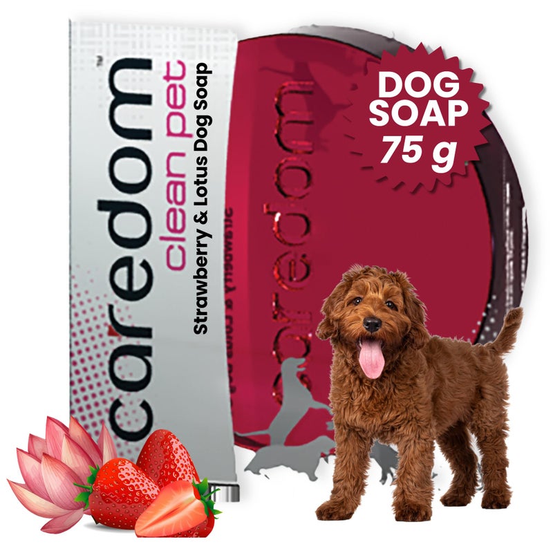 Caredom Lotus Dog Soap, 75 g - Image 1