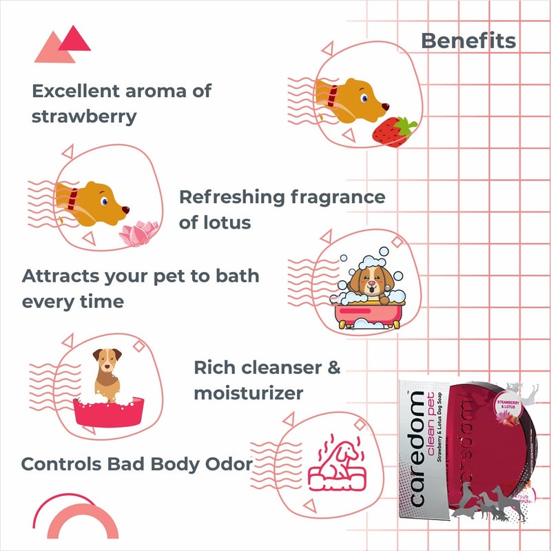 Caredom Lotus Dog Soap, 75 g - Image 4