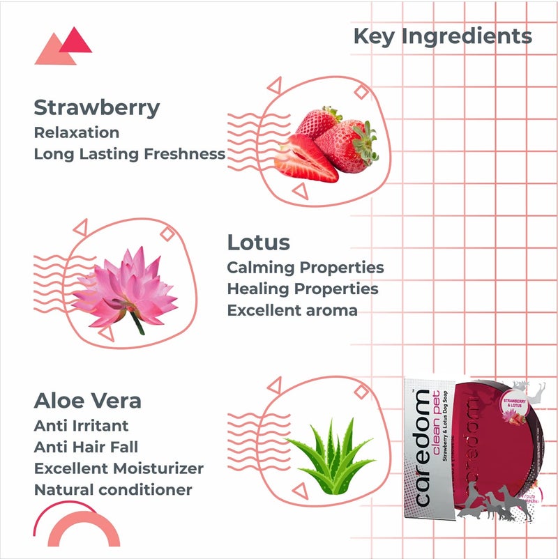 Caredom Lotus Dog Soap, 75 g - Image 3