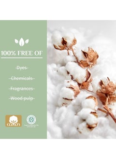 Organ(y)c Complete Protection Feminine Care Organic Cotton Tampons with Cardboard Applicator, Regular, 16 Pieces - Pack of 1  - Image 5