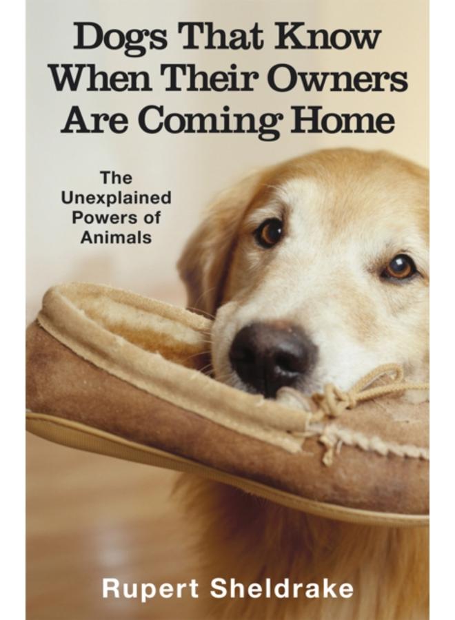 Dogs That Know When Their Owners Are Coming Home : And Other Unexplained Powers of Animals