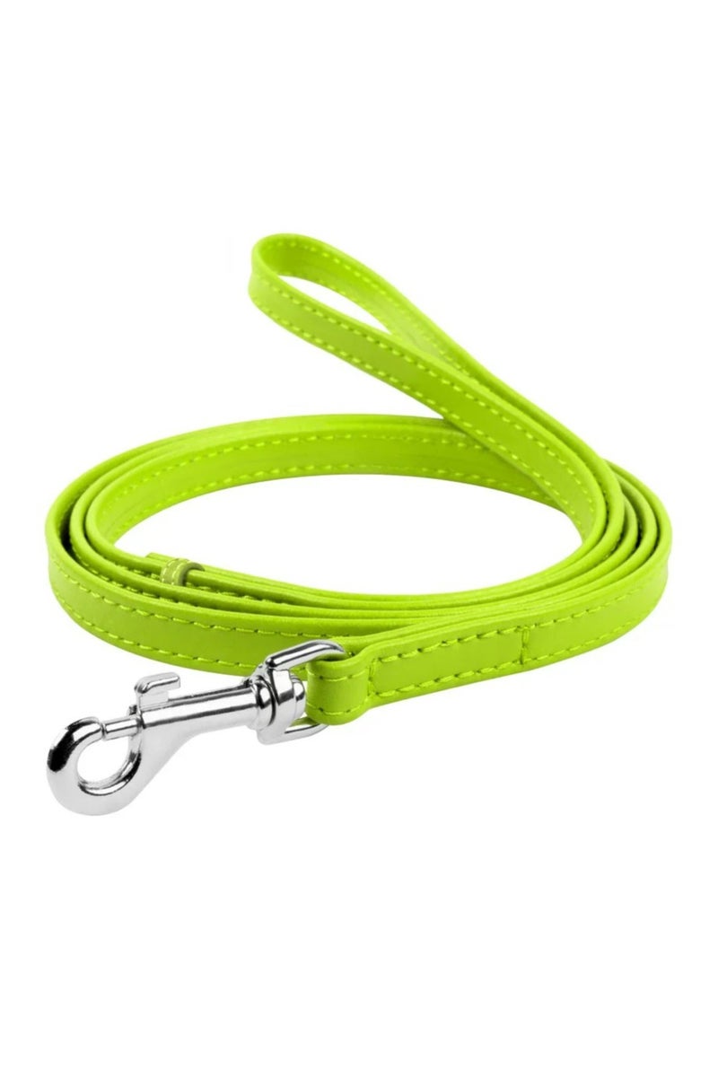 مقود أخضر للقطط والكلاب - خفيف الوزن ومتين