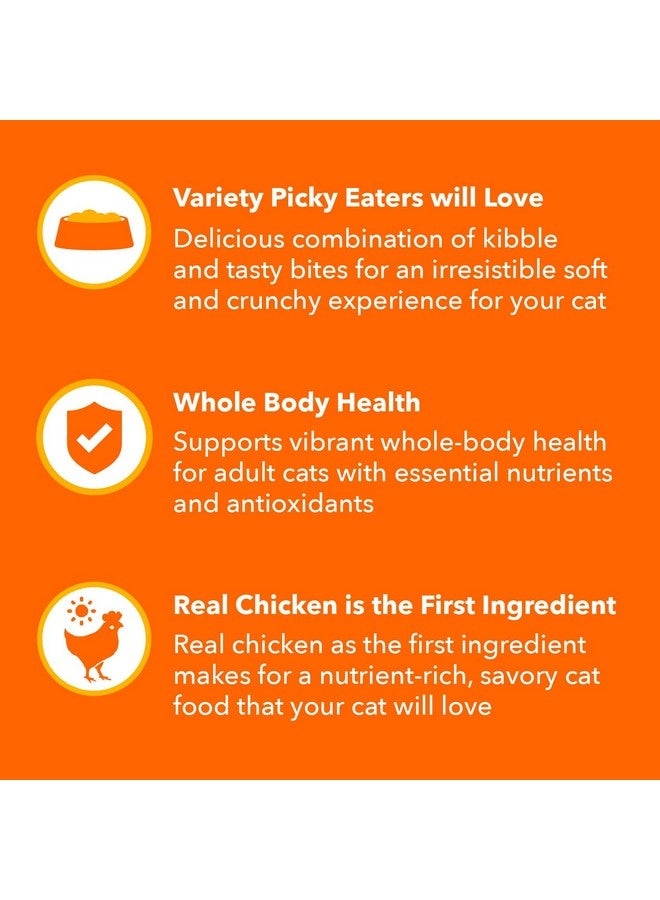 Iams Healthy Enjoyment Dry Cat Food Chicken & Salmon Recipe, 3 lb. Bag - Image 3