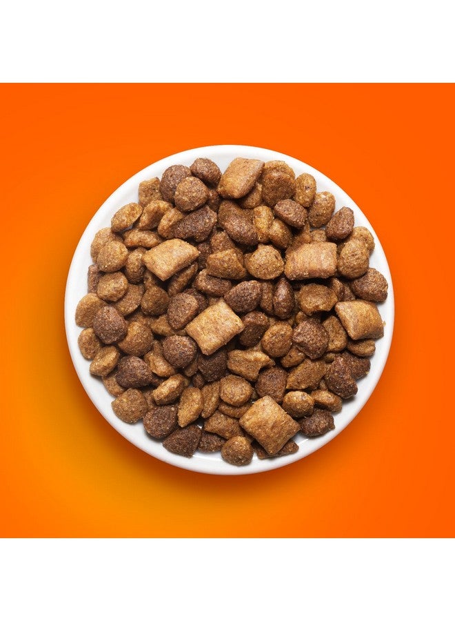 Iams Healthy Enjoyment Dry Cat Food Chicken & Salmon Recipe, 3 lb. Bag - Image 4