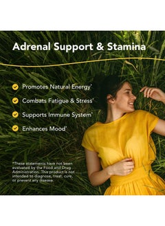 North American Herb & Spice Ashadrene - 2 fl. oz. - 100% Raw Ashwagandha Extract - Healthy Adrenal Response, Energy, Overall Health - Non-GMO, Certified USDA Organic - 86 Servings  - Image 2