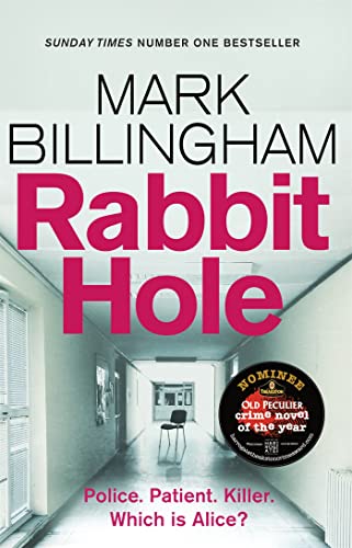 Rabbit Hole The New Masterpiece From The Sunday Times Number One Bestseller 